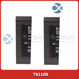 ICS TRIPLEX T8110B  振动控制器 - 图片 2
