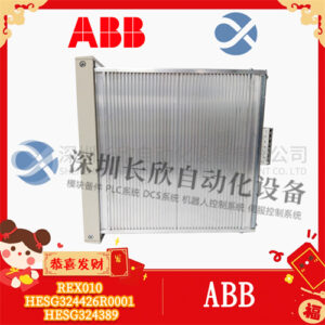 ABB REX010 HESG324426R0001 HESG324389 控制器 - 图片 2