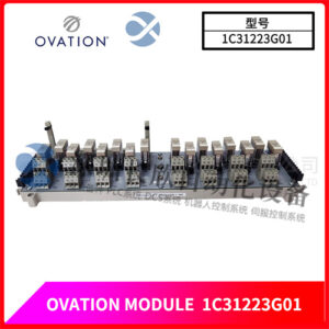 EMERSON OVATION 1C31223G01 电源适配器 - 图片 2