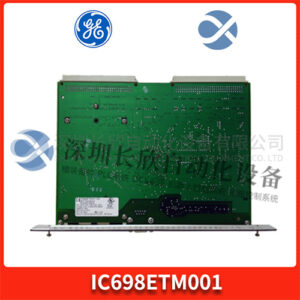 GE IC698ETM001  数字输入/输出模块 - 图片 2