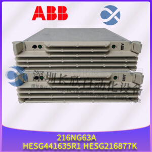 ABB 216NG63A HESG441635R1 HESG216877K 可编程控制器 (PLC) 模块 - 图片 2
