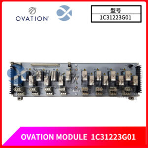 Emerson Ovation 1C31223G01 可编程运动控制系统 - 图片 2