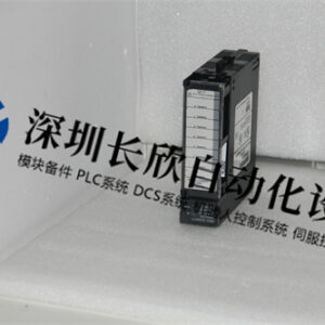 GE IC693ALG392 模拟输出模块 - 图片 2