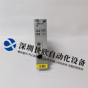 EPRO MMS6120 9100-00002-10 振动测量模块 - 图片 2