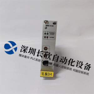 EPRO MMS6120 9100-00002C-08  可编程逻辑控制器 - 图片 2