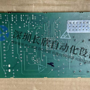 DS200TCPDG1A - 图片 2
