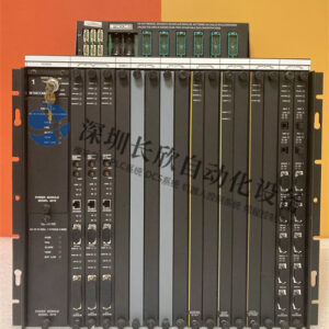 TRICONEX 3721 I/O模块 - 图片 2
