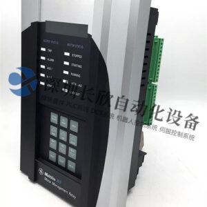 GE 369-LO-0-M-0-0-0-E - 图片 2