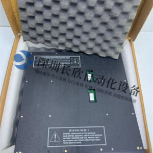 TRICONEX 4210  - 图片 2