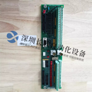 DS200TCPDG1A