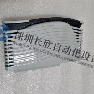 ABB VP01 2VAA008172R01  安全模块 - 图片 2