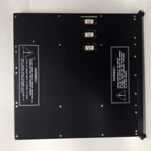 3503E TRICONEX 数字输入模块 - 图片 4