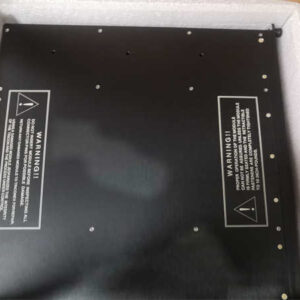 3625C1 TRICONEX 数字输出模块 - 图片 4