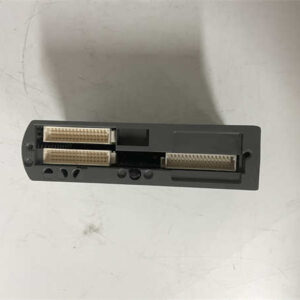 T9432 ICS TRIPLEX  模拟输入模块 - 图片 2
