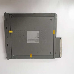 T8461 ICS TRIPLEX TMR 24/48 Vdc数字输出模块 - 图片 3