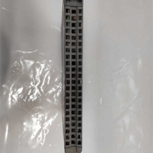 T8461 ICS TRIPLEX TMR 24/48 Vdc数字量输出模块 - 图片 2