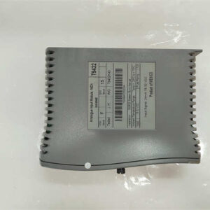 T9432 ICS TRIPLEX 模拟量输入模块 - 图片 3
